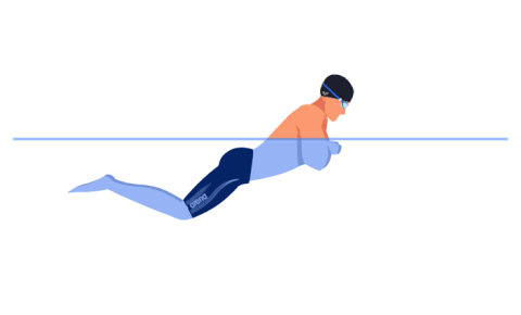 Плавание брассом наглядно