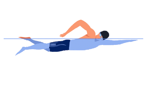 Плавание кролем наглядно